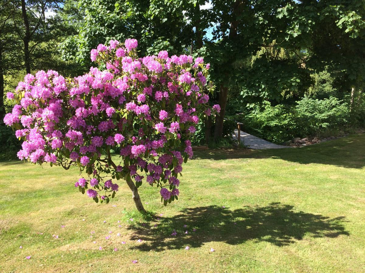 Ostra Kvarn Bed & Breakfast Angelholm Bagian luar foto